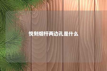 悦刻烟杆两边孔是什么