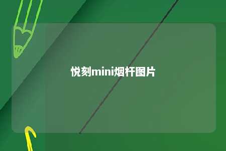 悦刻mini烟杆图片