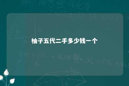 柚子五代二手多少钱一个