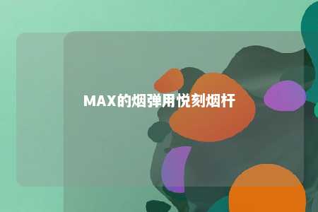 MAX的烟弹用悦刻烟杆